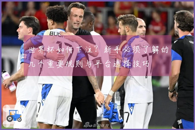 世界杯如何下注？新手必须了解的几个重要规则与平台选择技巧