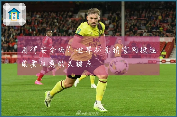 用得安全吗？世界杯竞猜官网投注前要注意的关键点